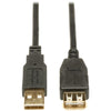 Tripp Lite(R) U024-010 Hi-Speed A-Male to A-Female USB 2.0 Extension C