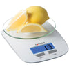 Taylor Precision Products 384521 Glass Platform Digital Kitchen Scale