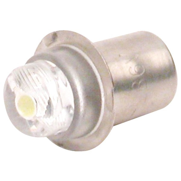 Flashlights & Accessories