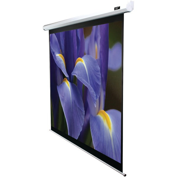 Projector Screens