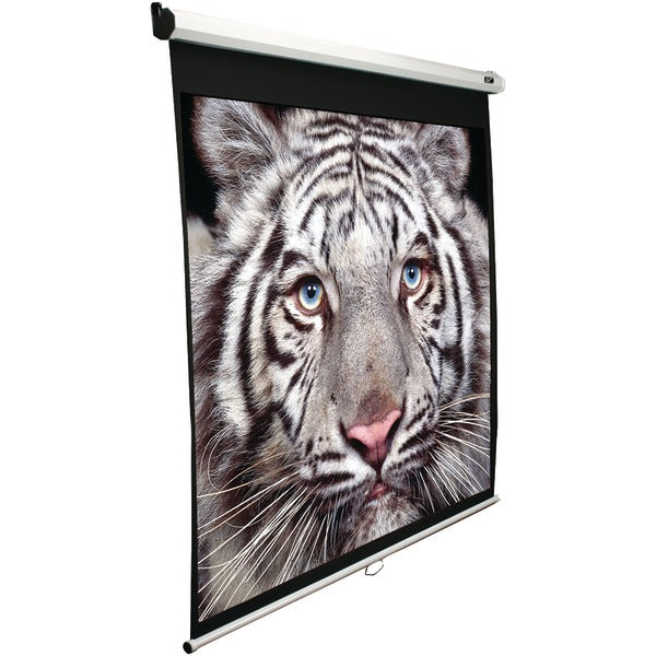 Projector Screens