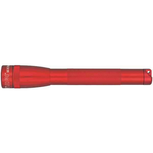 Flashlights & Accessories