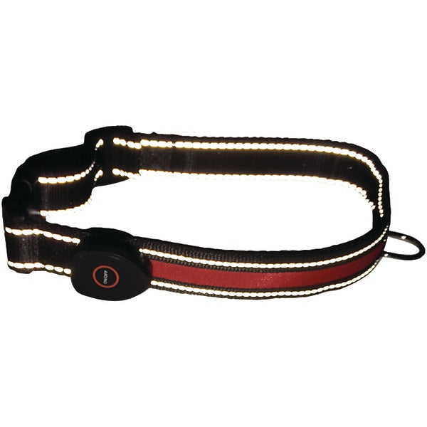 Royal Animals 104058M LED Dog Collar (Medium)